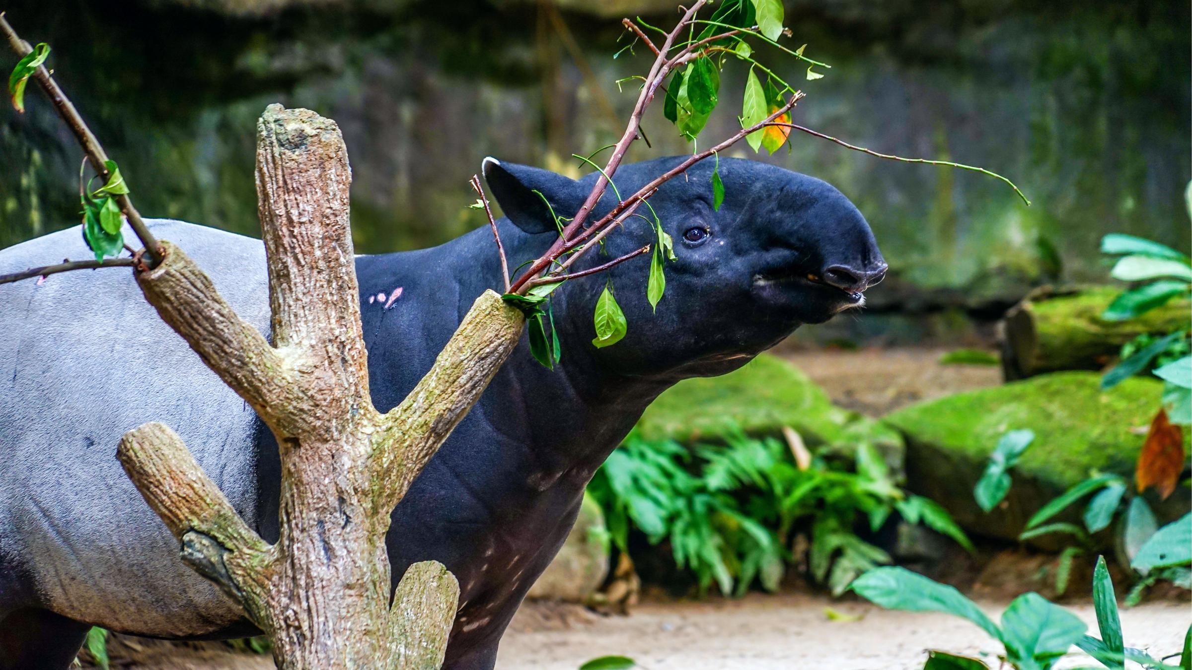 Семейный тур